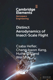 Cover Distinct Aerodynamics Of Insect Scale Flight