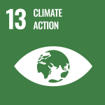 SDG 13 