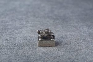 Turtle Seal