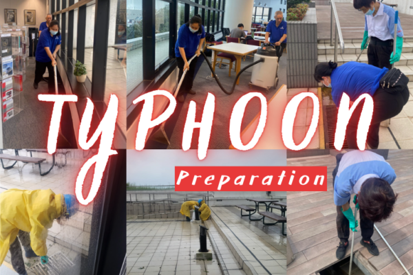 Library Preparation Before and After Typhoon