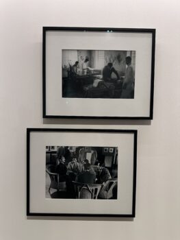 Sha Fei’s works on display at M+