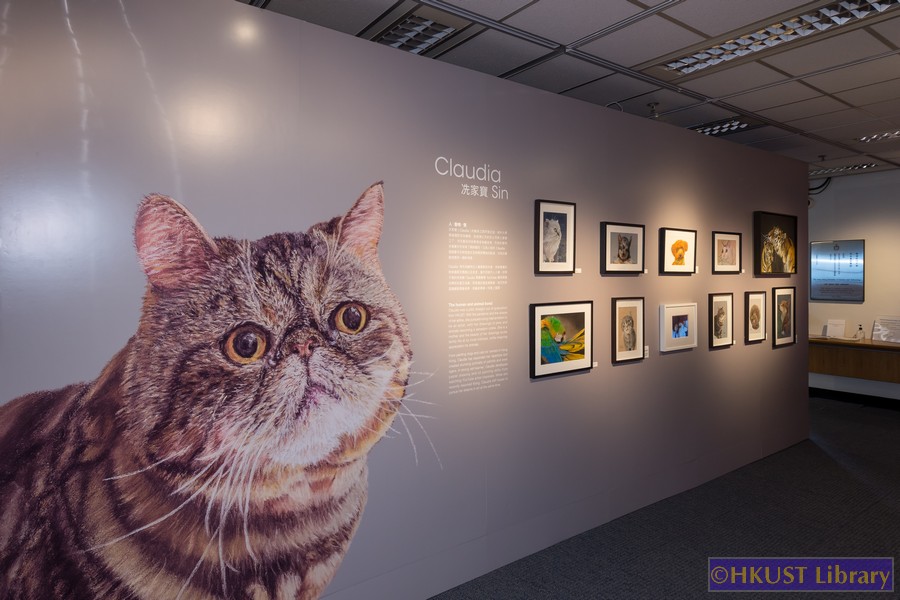 The Power of Diversity - Artistic Visionaries from HKUST - Gallery