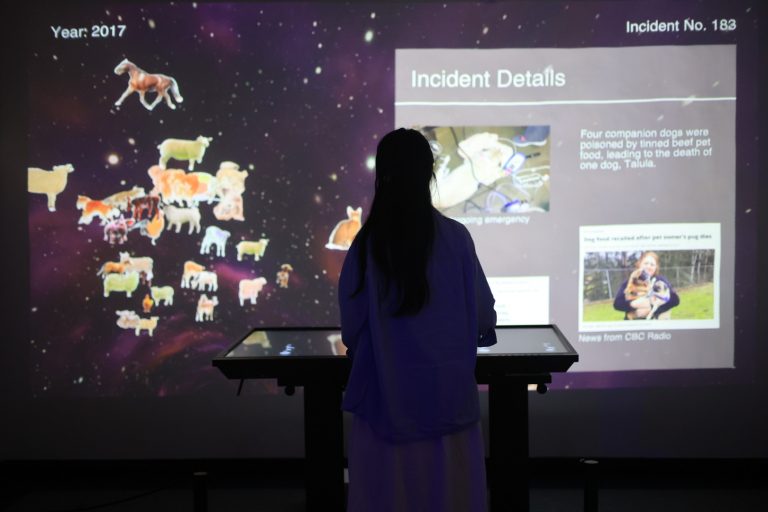 Hidden-Incidents-of-Animal-Euthanasia