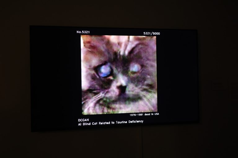 Hidden-Incidents-of-Taurine-Deficiency