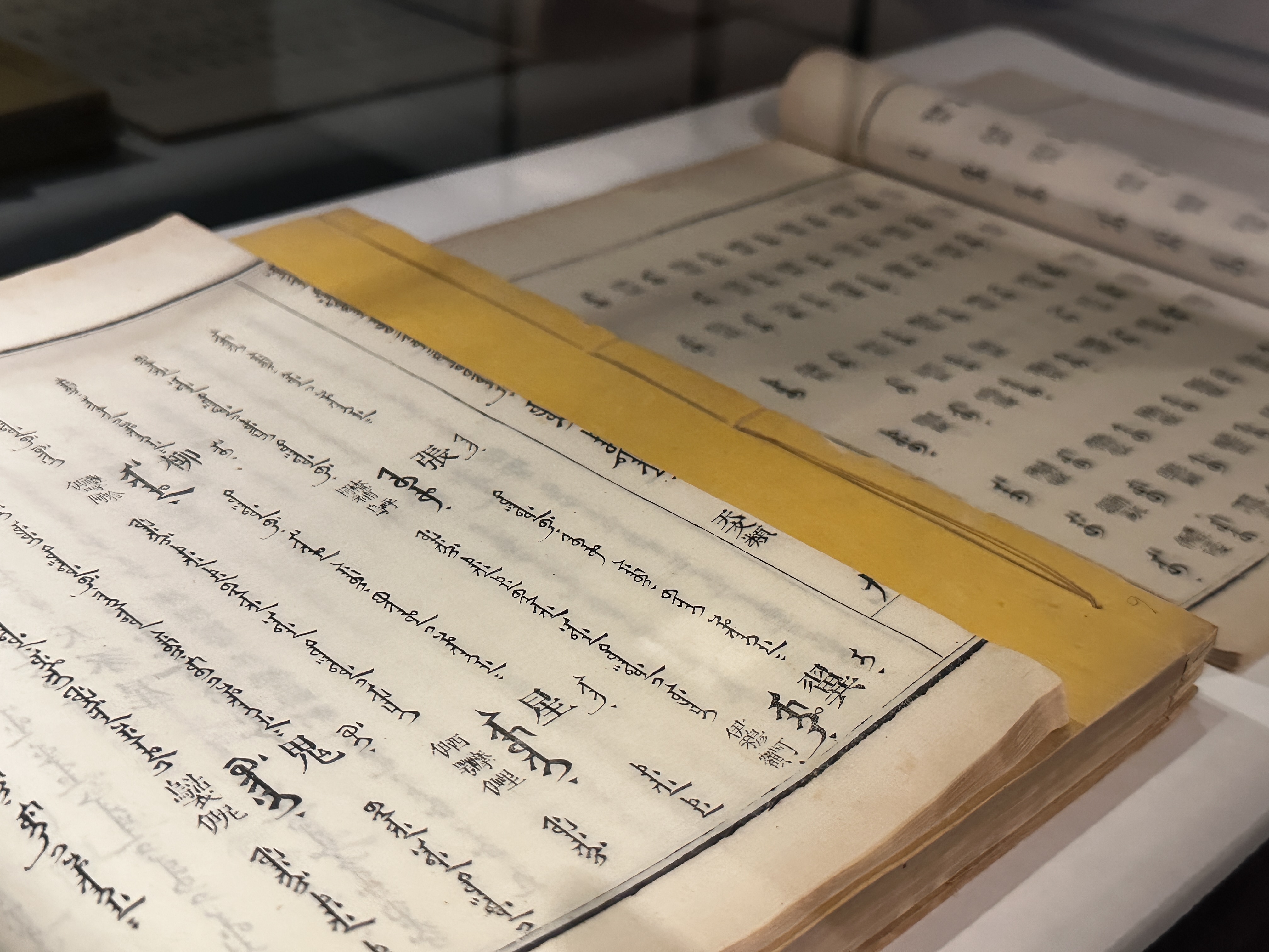 Special Collections: Selected Books from the Qing Dynasty