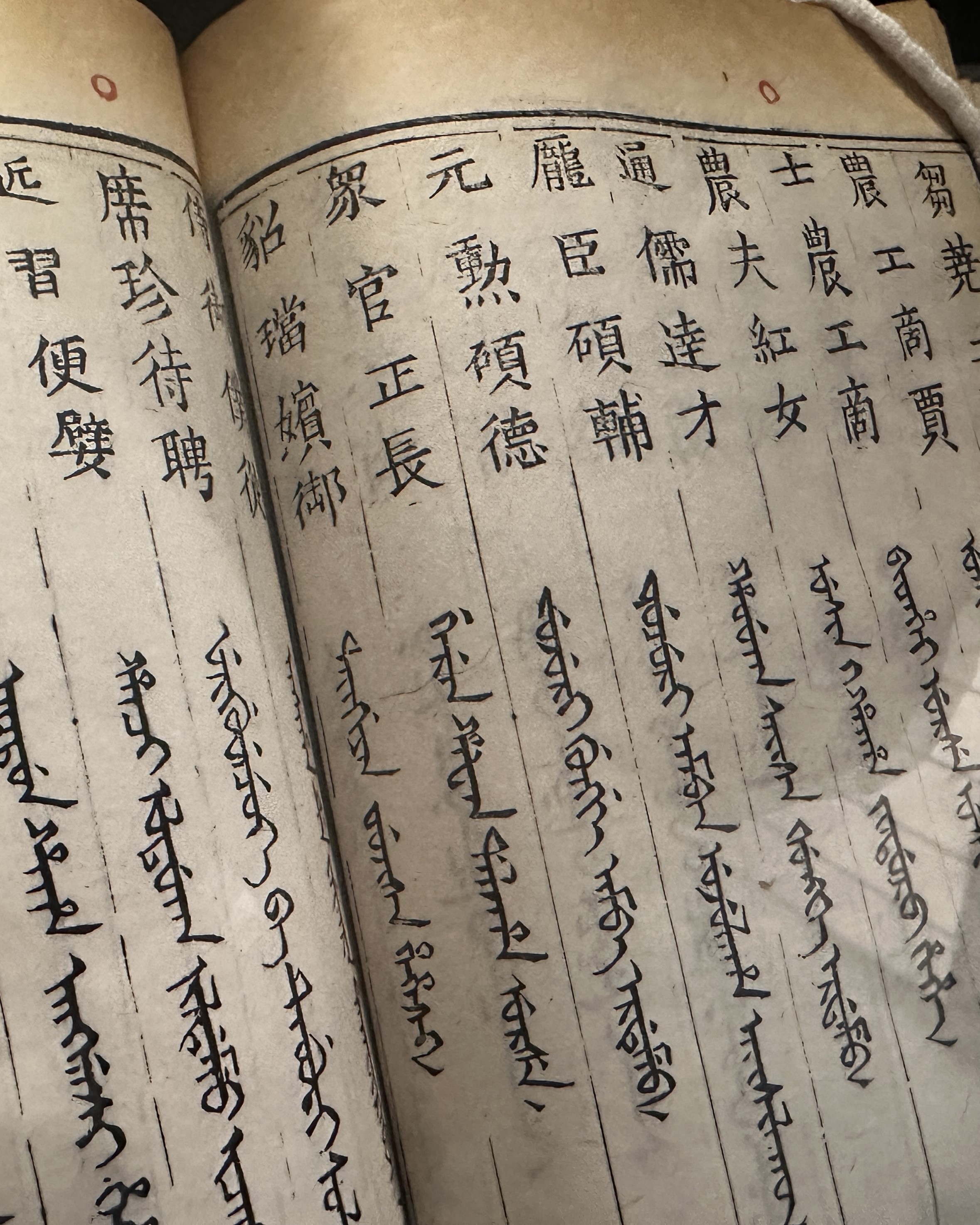 Special Collections: Selected Books from the Qing Dynasty