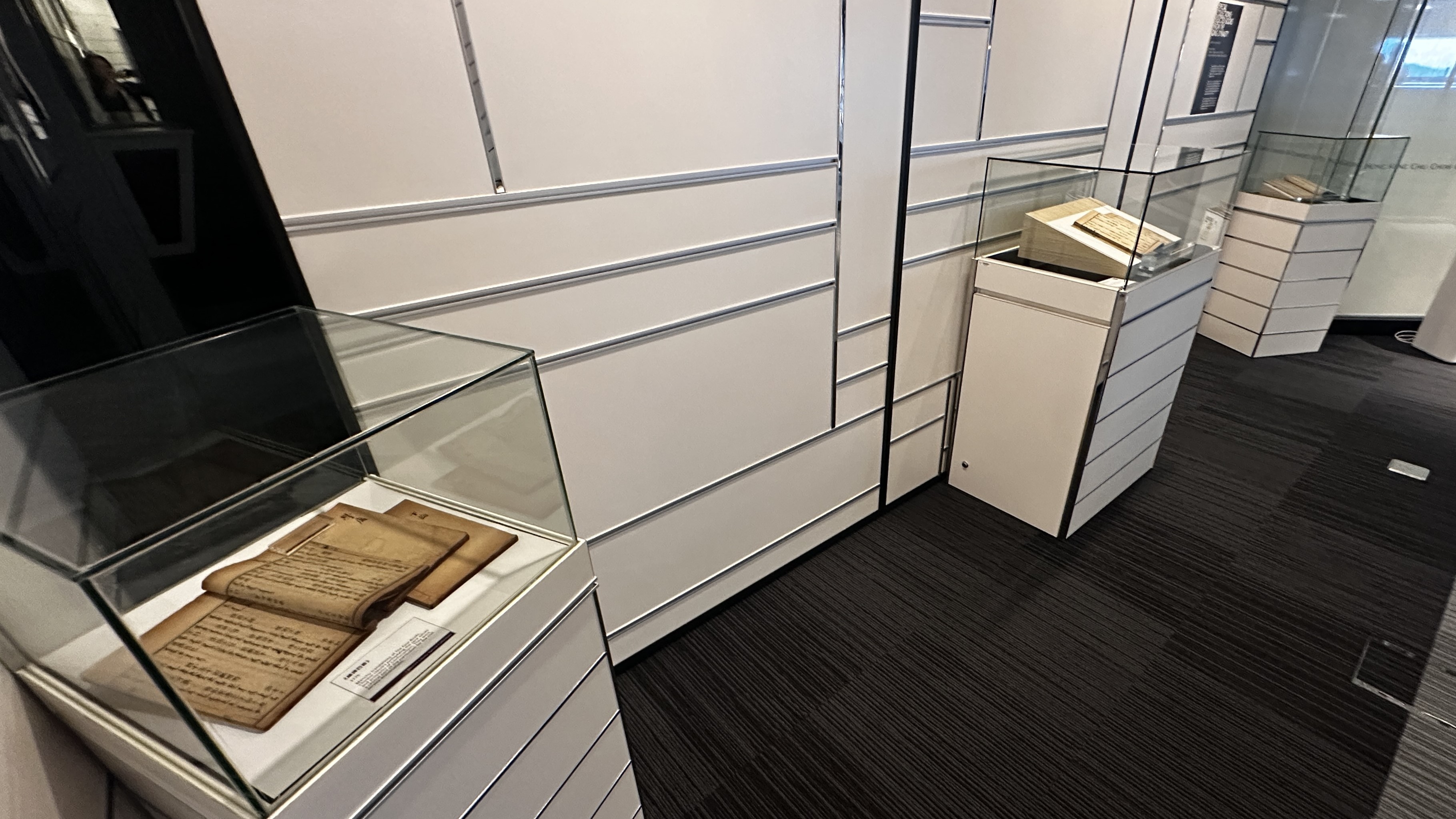 Special Collections: Selected Books from the Qing Dynasty