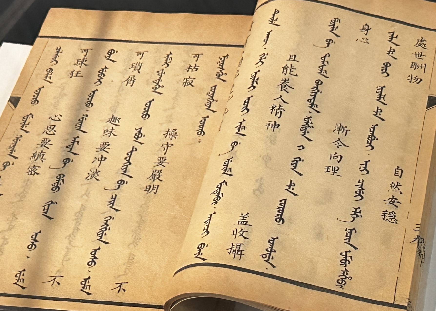 Special Collections: Selected Books from the Qing Dynasty