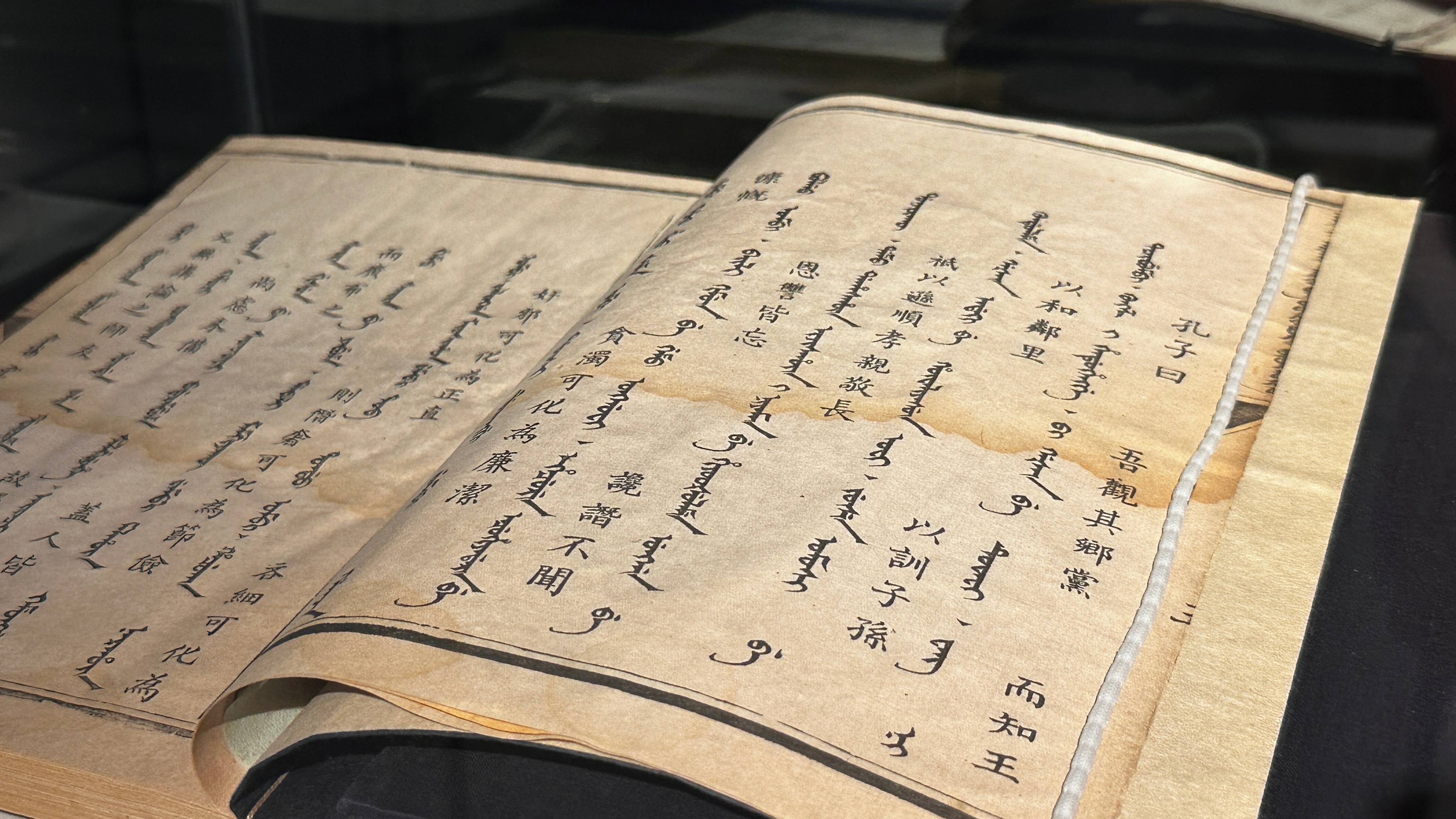 Special Collections: Selected Books from the Qing Dynasty