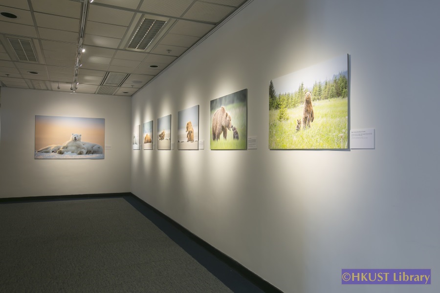 Natural World, Cultural Elegance: A Photography Exhibition by Tin Man Lee: Gallery