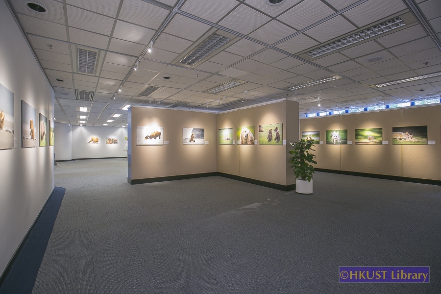 Natural World, Cultural Elegance: A Photography Exhibition by Tin Man Lee: Gallery