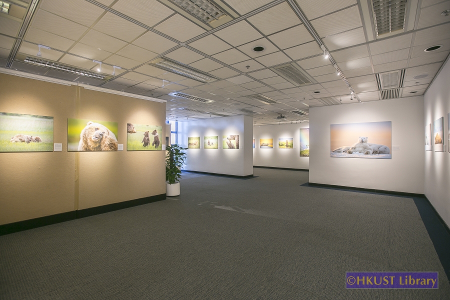 Natural World, Cultural Elegance: A Photography Exhibition by Tin Man Lee: Gallery