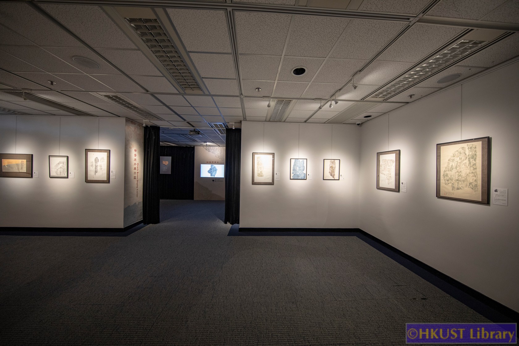 The Blessings of Auspicious Treasures: Oracle Bone Calligraphy Exhibition of Xie Chunling: Gallery