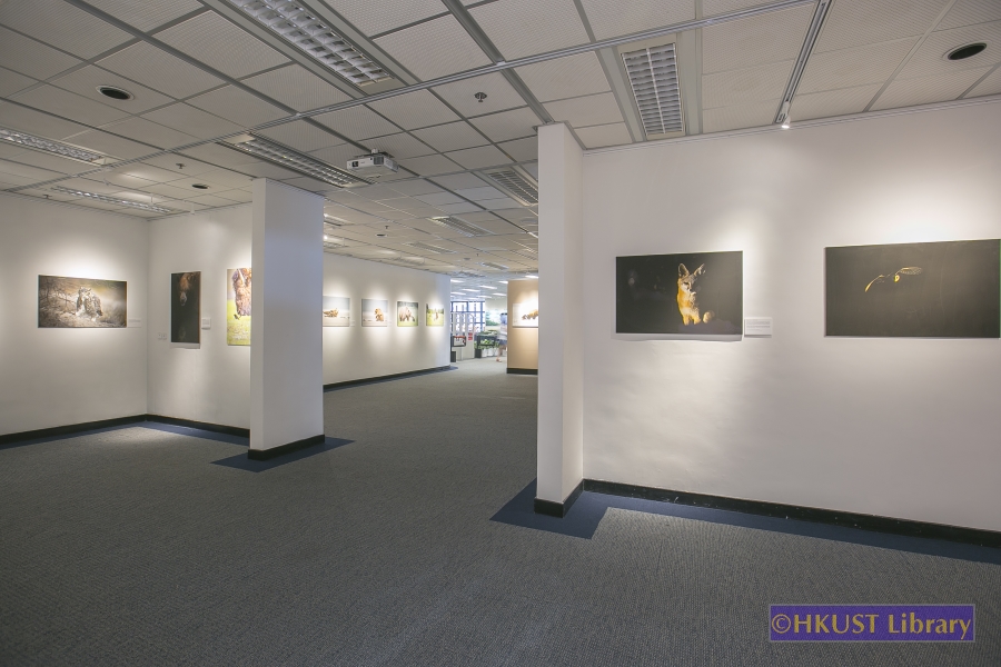 Natural World, Cultural Elegance: A Photography Exhibition by Tin Man Lee: Gallery