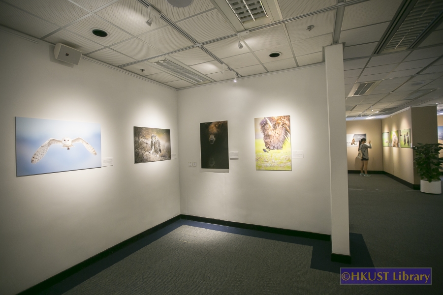 Natural World, Cultural Elegance: A Photography Exhibition by Tin Man Lee: Gallery