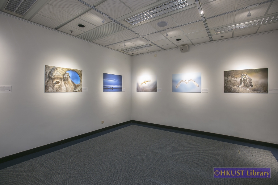 Natural World, Cultural Elegance: A Photography Exhibition by Tin Man Lee: Gallery