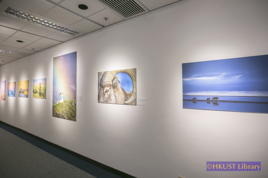 Natural World, Cultural Elegance: A Photography Exhibition by Tin Man Lee: Gallery