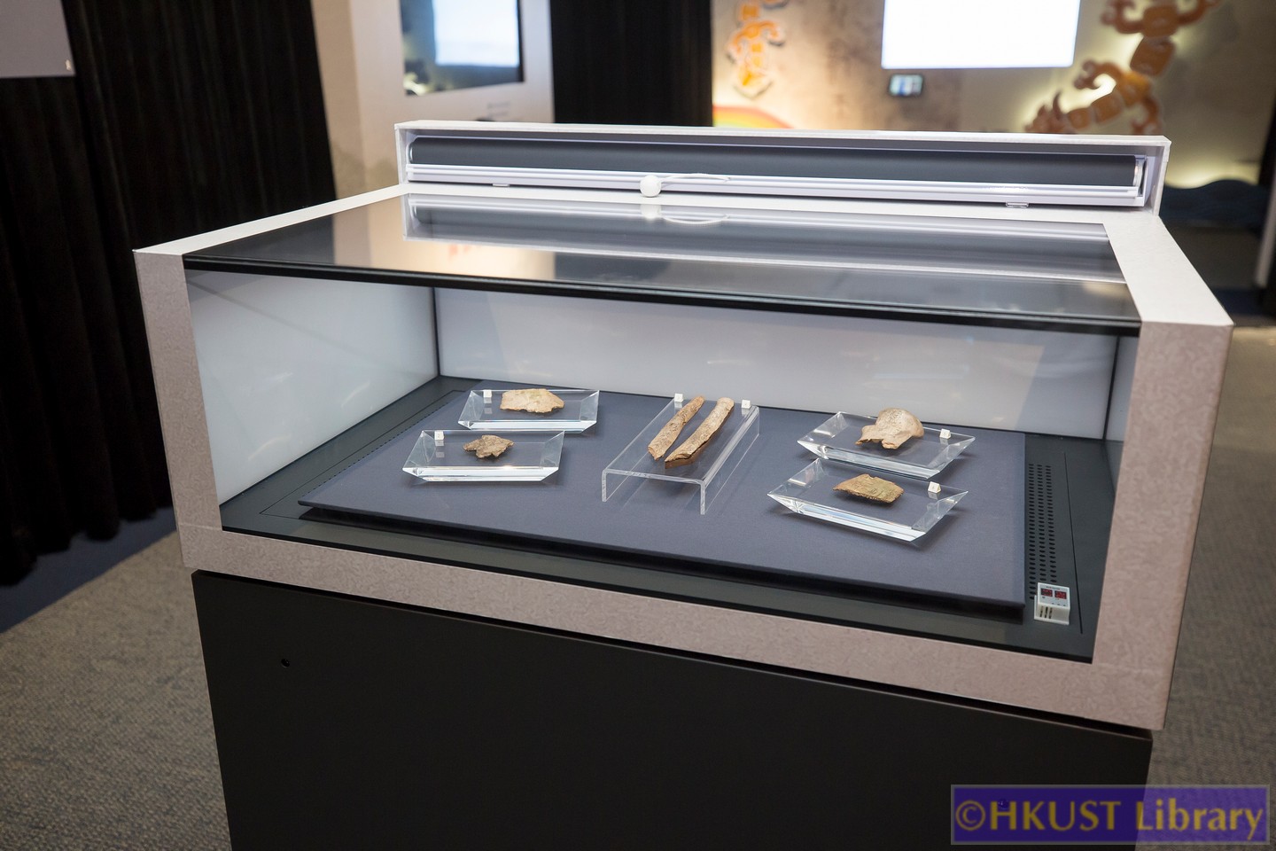 The Blessings of Auspicious Treasures: Oracle Bone Calligraphy Exhibition of Xie Chunling: Gallery