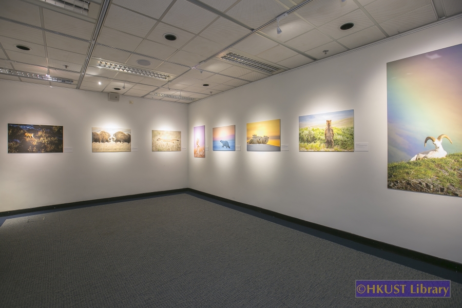 Natural World, Cultural Elegance: A Photography Exhibition by Tin Man Lee: Gallery