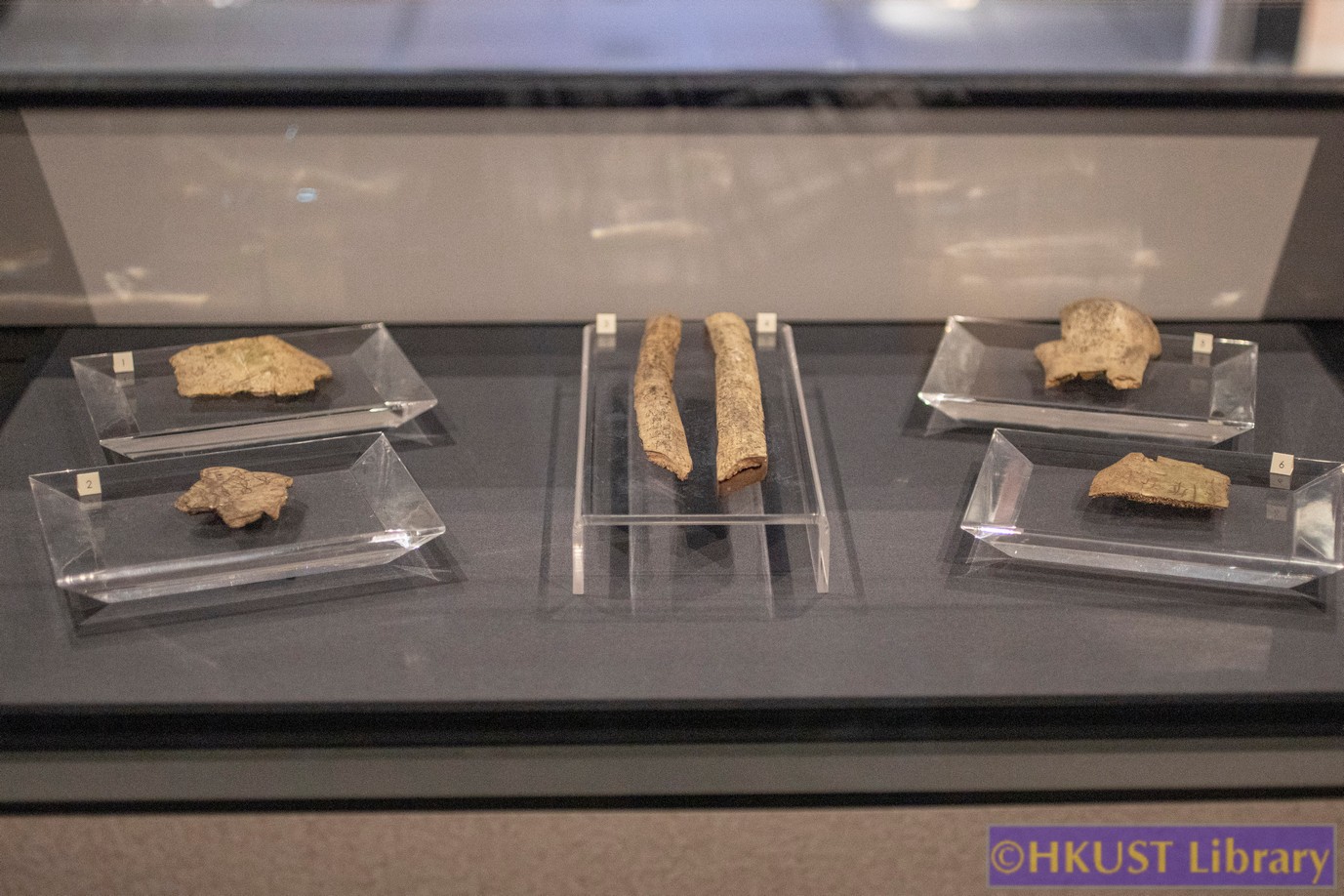 The Blessings of Auspicious Treasures: Oracle Bone Calligraphy Exhibition of Xie Chunling: Gallery