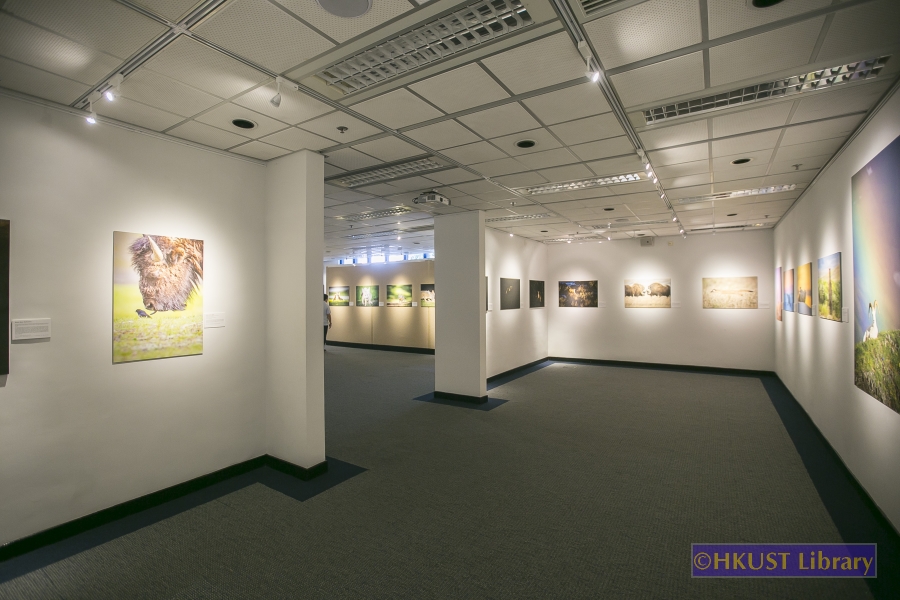Natural World, Cultural Elegance: A Photography Exhibition by Tin Man Lee: Gallery