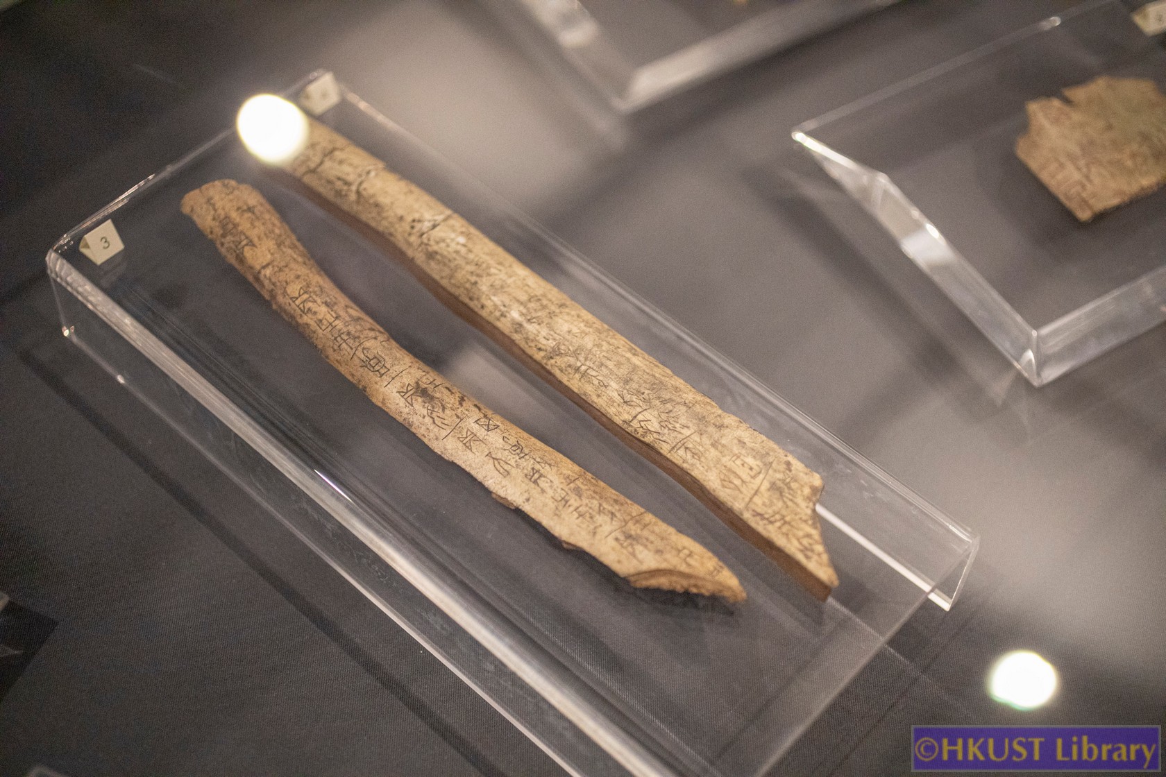 The Blessings of Auspicious Treasures: Oracle Bone Calligraphy Exhibition of Xie Chunling: Gallery