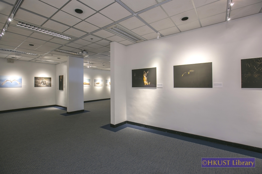 Natural World, Cultural Elegance: A Photography Exhibition by Tin Man Lee: Gallery