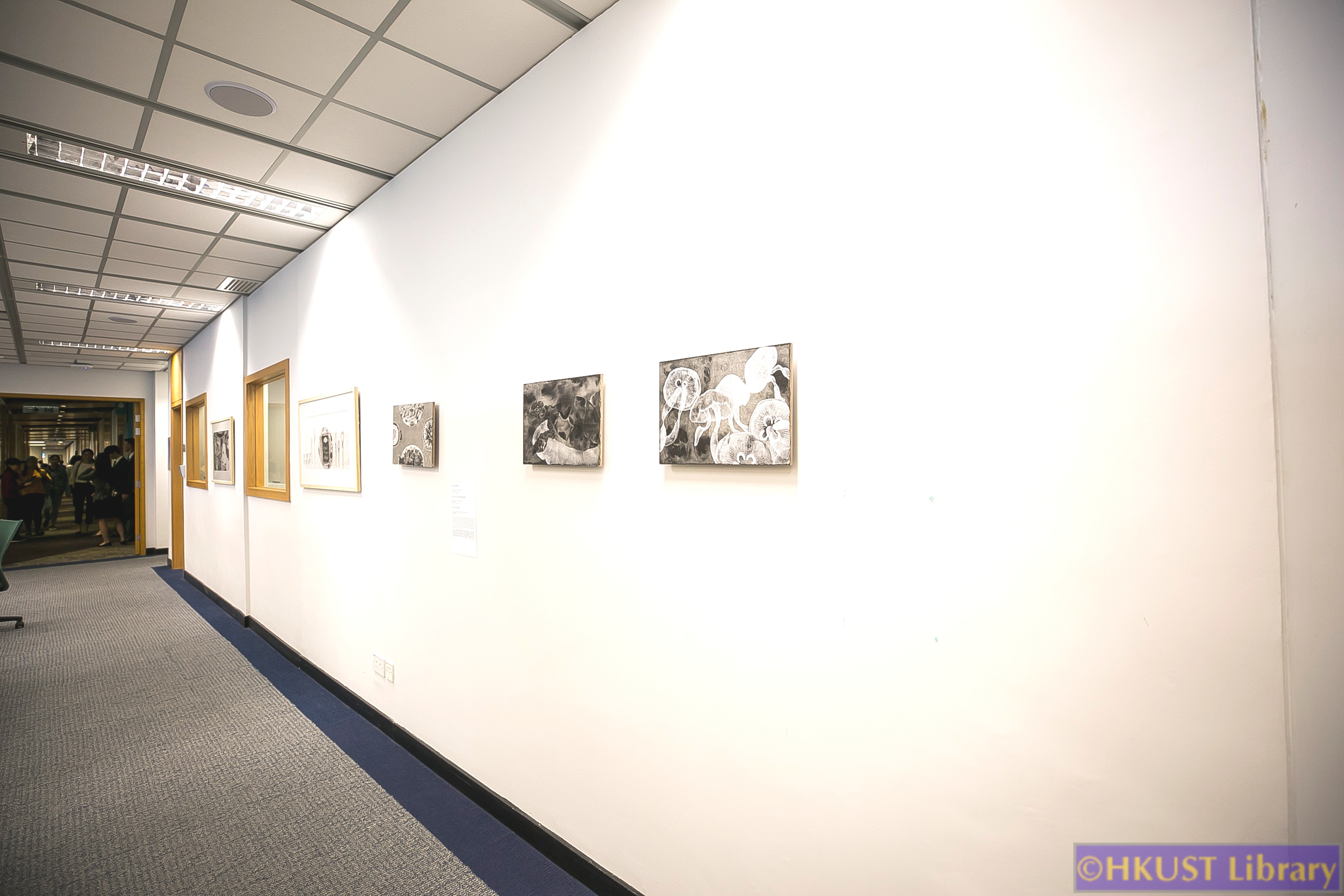 Plastic, plastic, every where!: Gallery