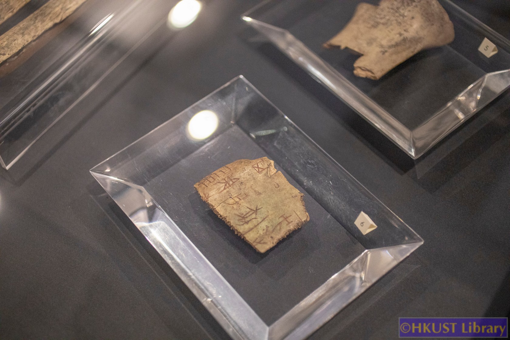 The Blessings of Auspicious Treasures: Oracle Bone Calligraphy Exhibition of Xie Chunling: Gallery