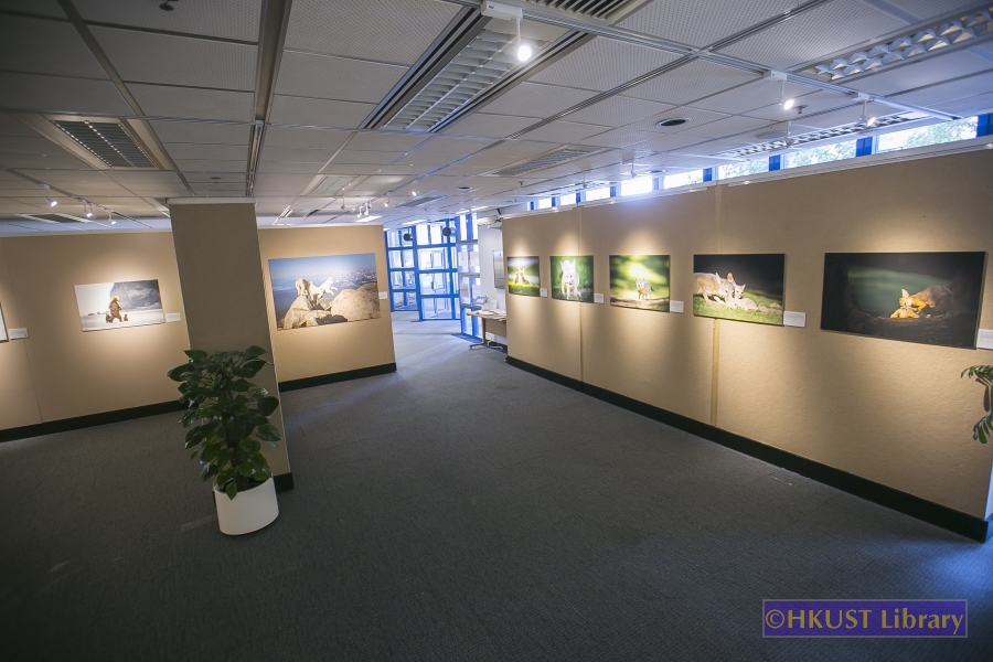 Natural World, Cultural Elegance: A Photography Exhibition by Tin Man Lee: Gallery