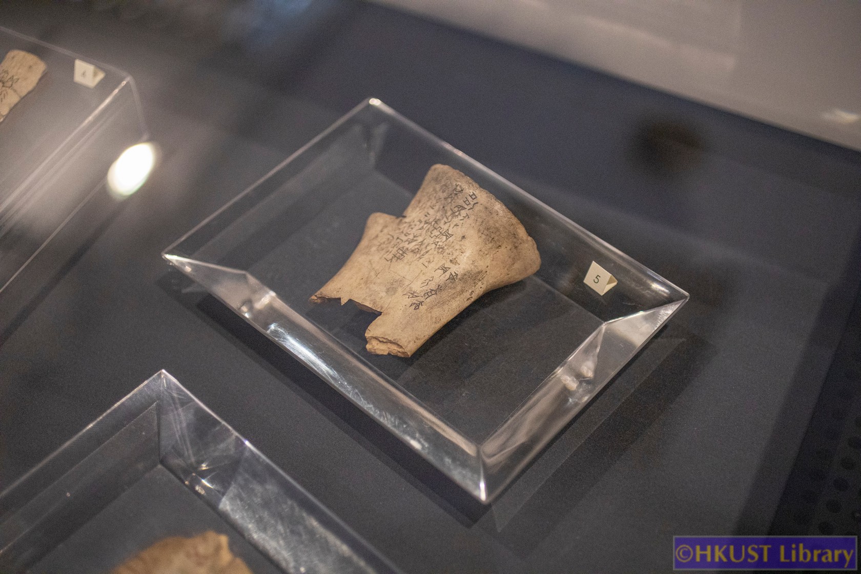 The Blessings of Auspicious Treasures: Oracle Bone Calligraphy Exhibition of Xie Chunling: Gallery