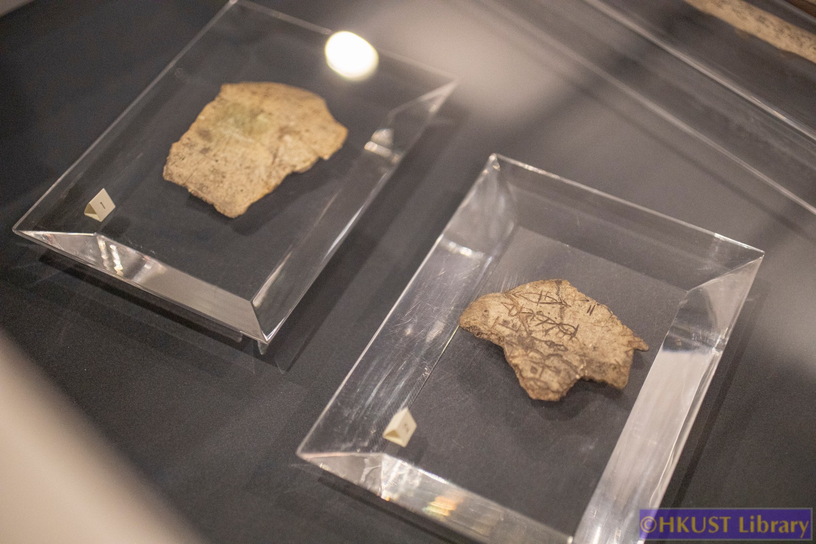 The Blessings of Auspicious Treasures: Oracle Bone Calligraphy Exhibition of Xie Chunling: Gallery