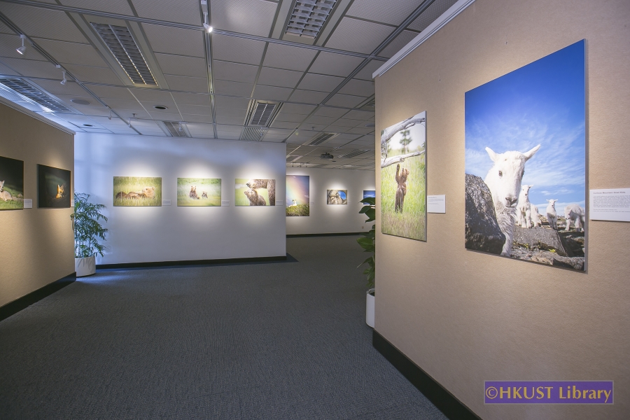 Natural World, Cultural Elegance: A Photography Exhibition by Tin Man Lee: Gallery
