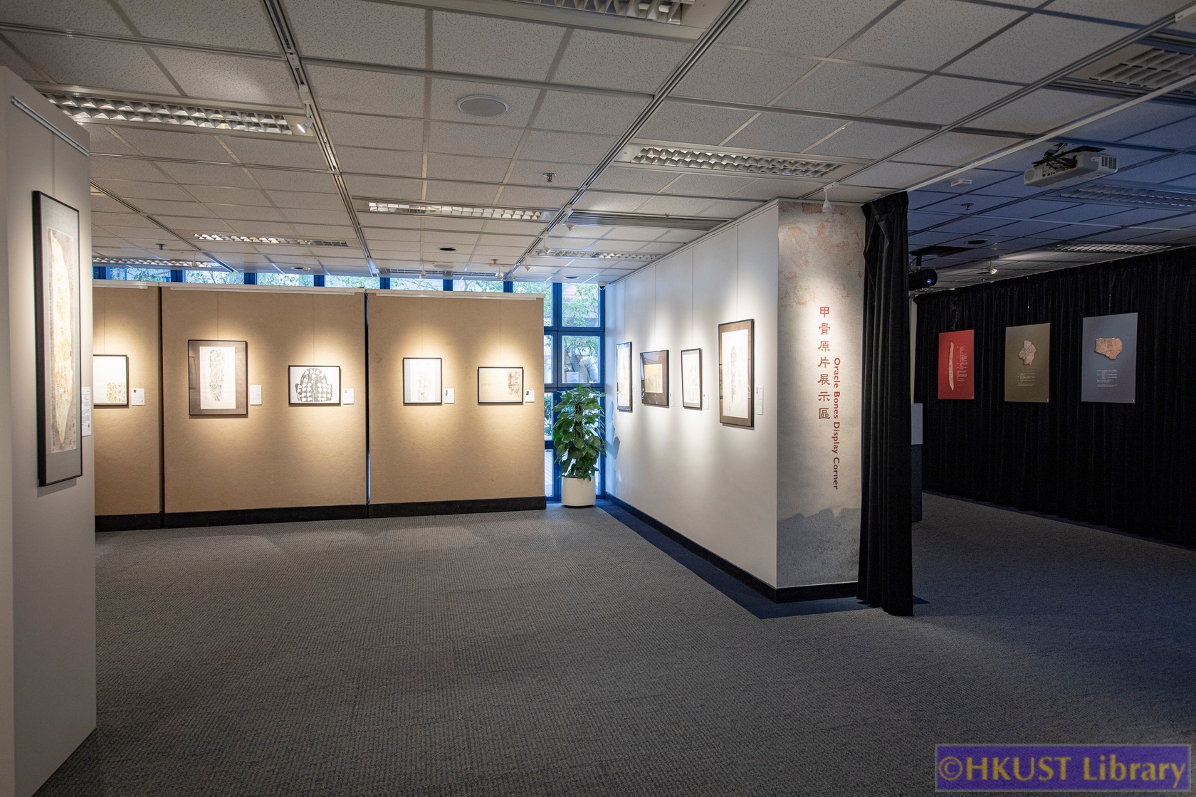 The Blessings of Auspicious Treasures: Oracle Bone Calligraphy Exhibition of Xie Chunling: Gallery