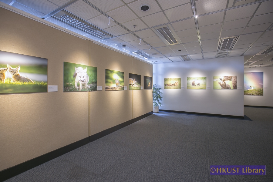 Natural World, Cultural Elegance: A Photography Exhibition by Tin Man Lee: Gallery
