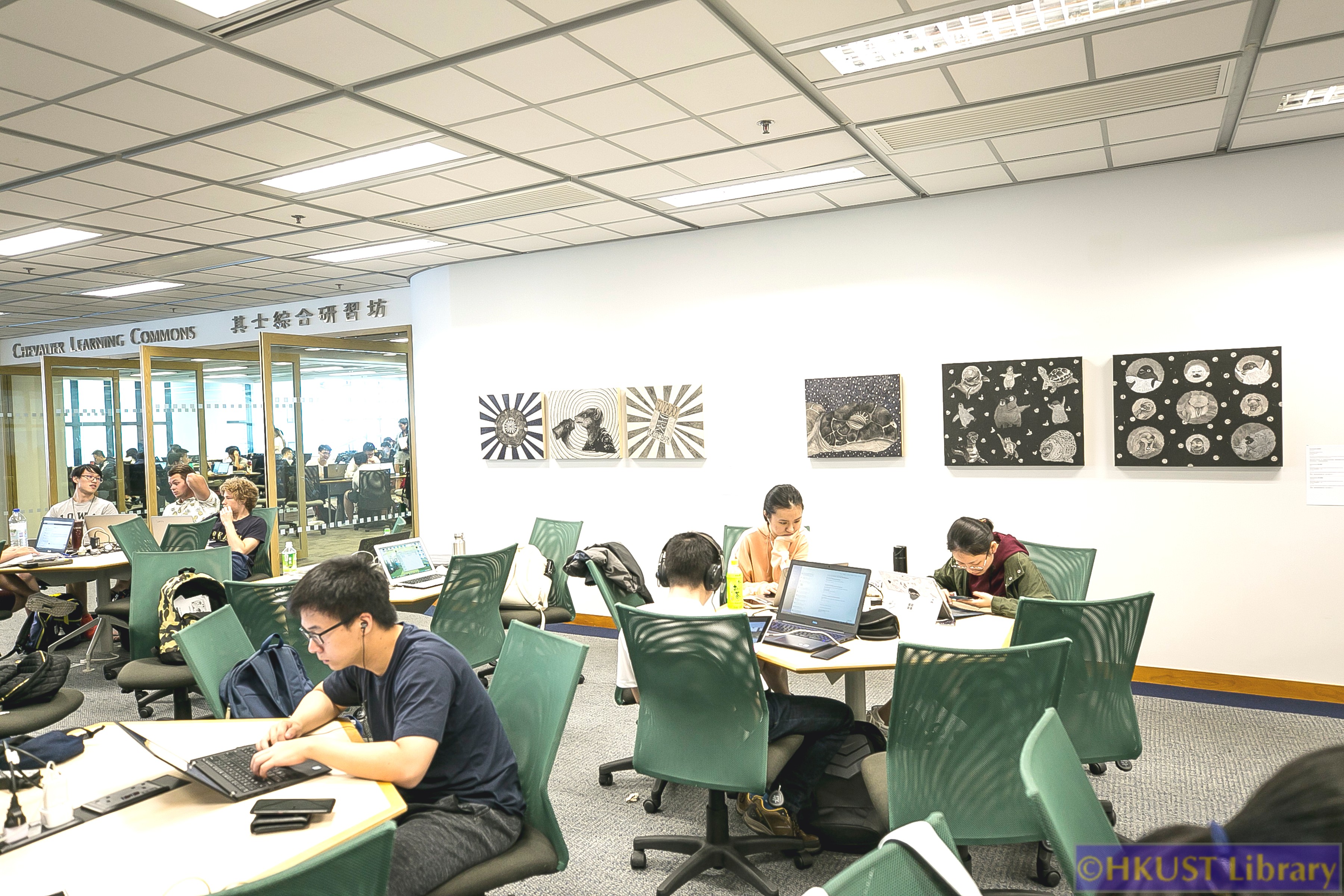 Plastic, plastic, every where!: Gallery