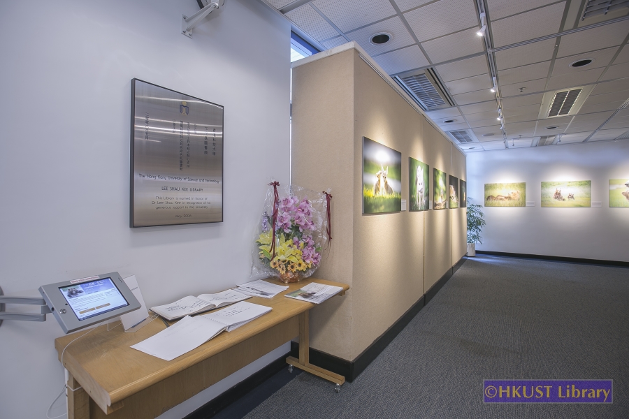 Natural World, Cultural Elegance: A Photography Exhibition by Tin Man Lee: Gallery