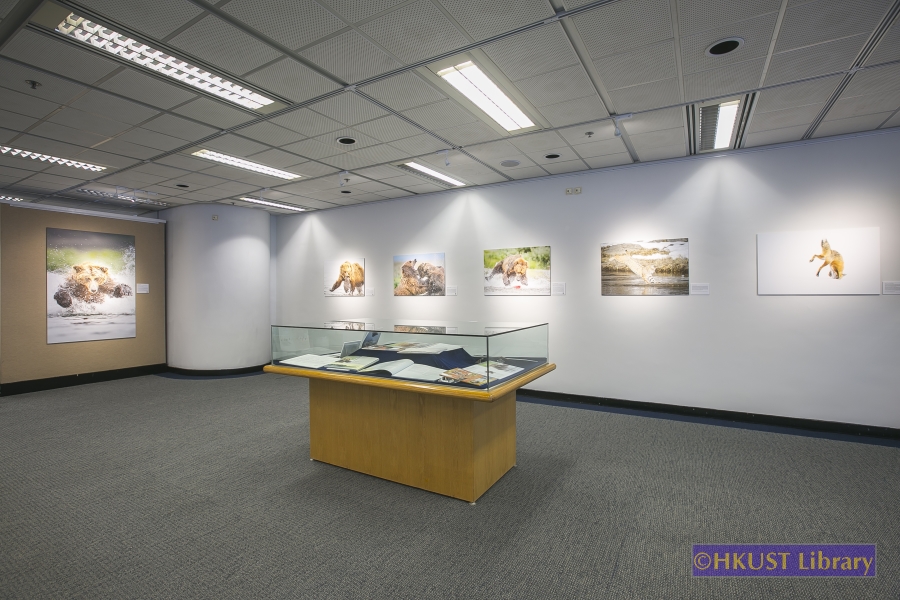 Natural World, Cultural Elegance: A Photography Exhibition by Tin Man Lee: Gallery