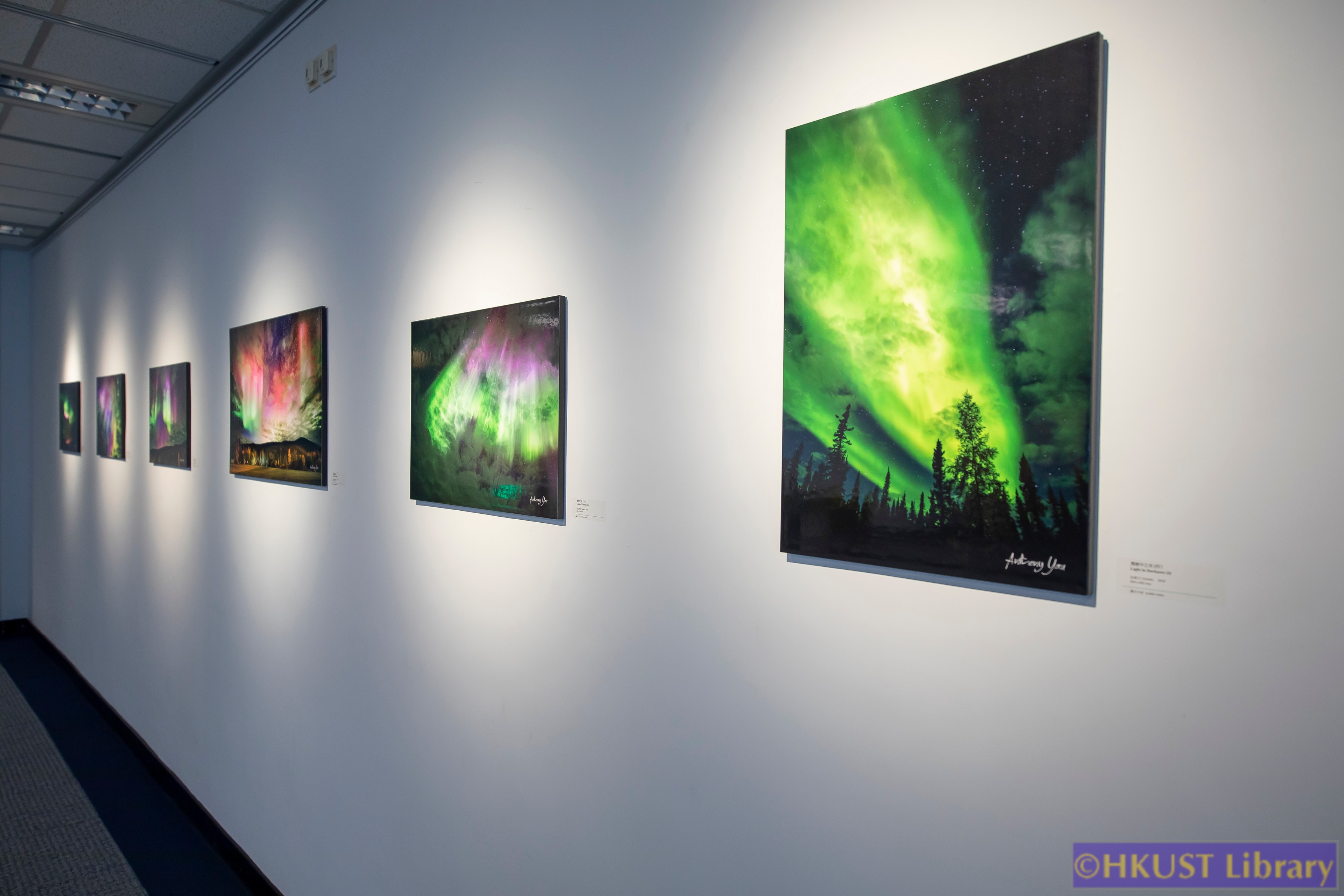 Yi – Aurora Photography Exhibition of Anthony Yau: Gallery