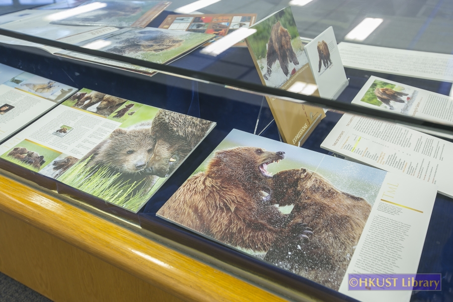 Natural World, Cultural Elegance: A Photography Exhibition by Tin Man Lee: Gallery