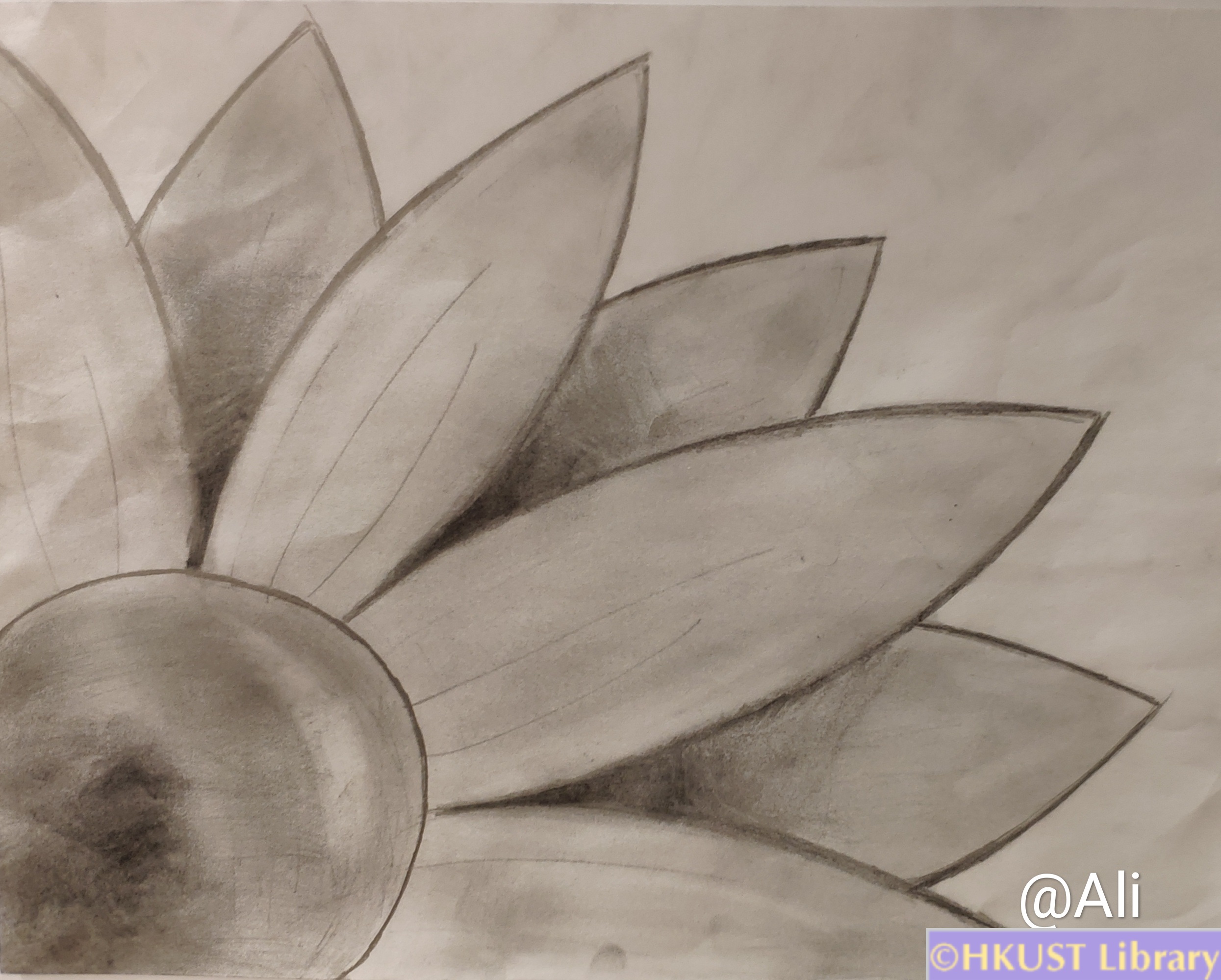 ISDN 1004: Sketching Exhibition: Sketchings