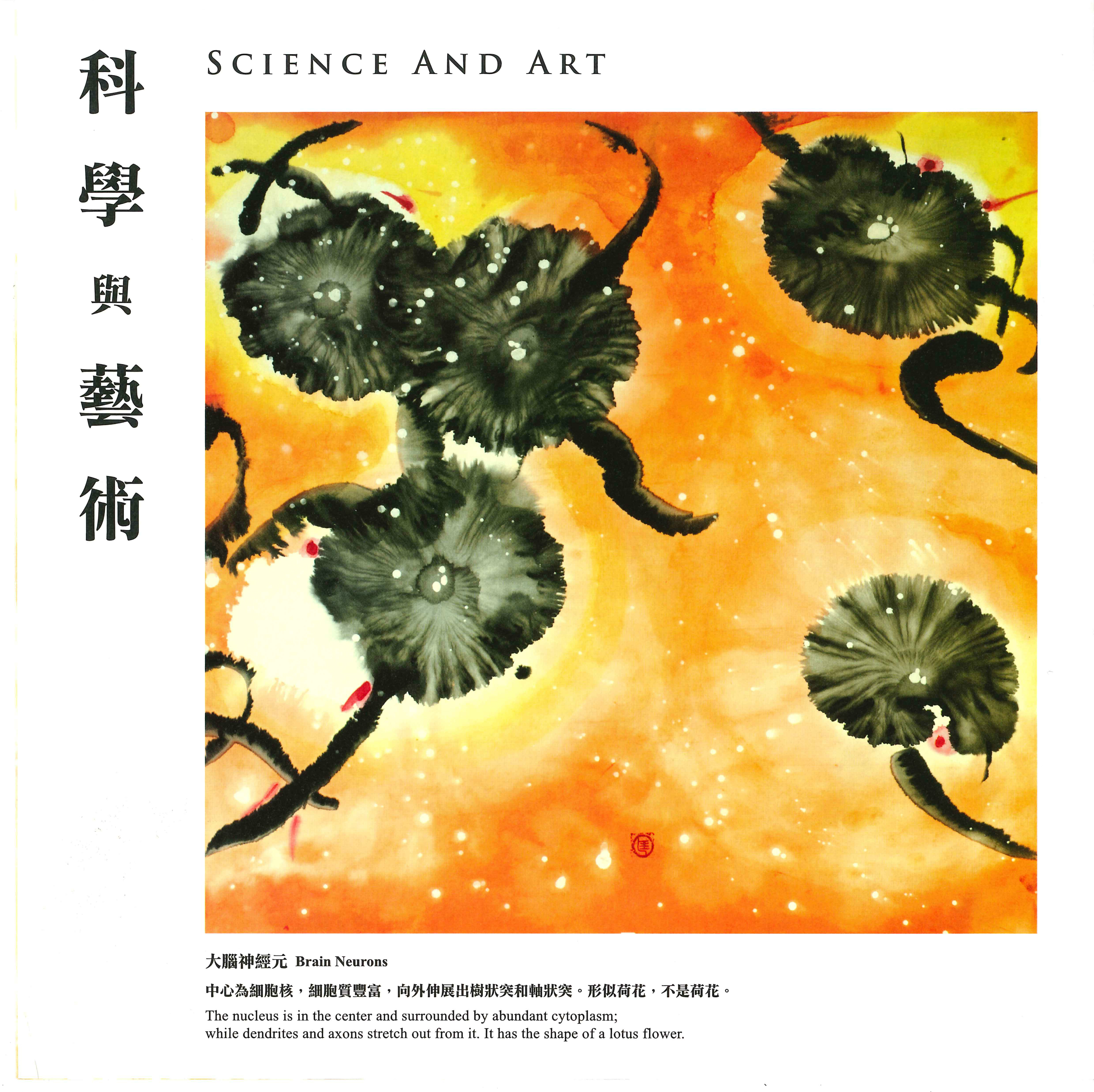 The Isomorphism of Humans and Nature: Science and Art: Leaflet