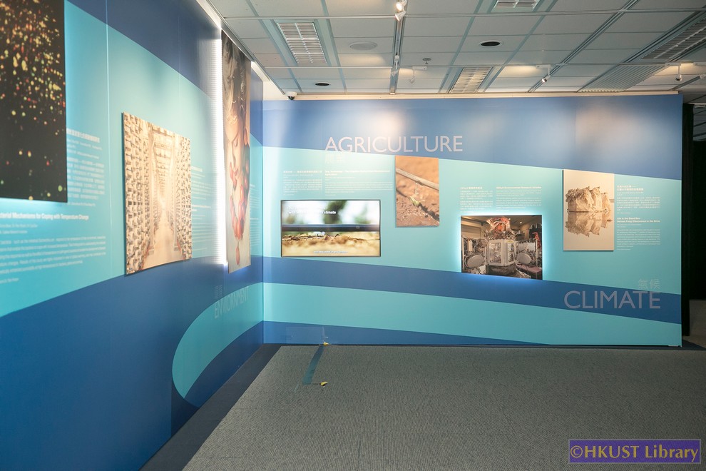 Israeli Discoveries and Innovations that influenced the World: Gallery