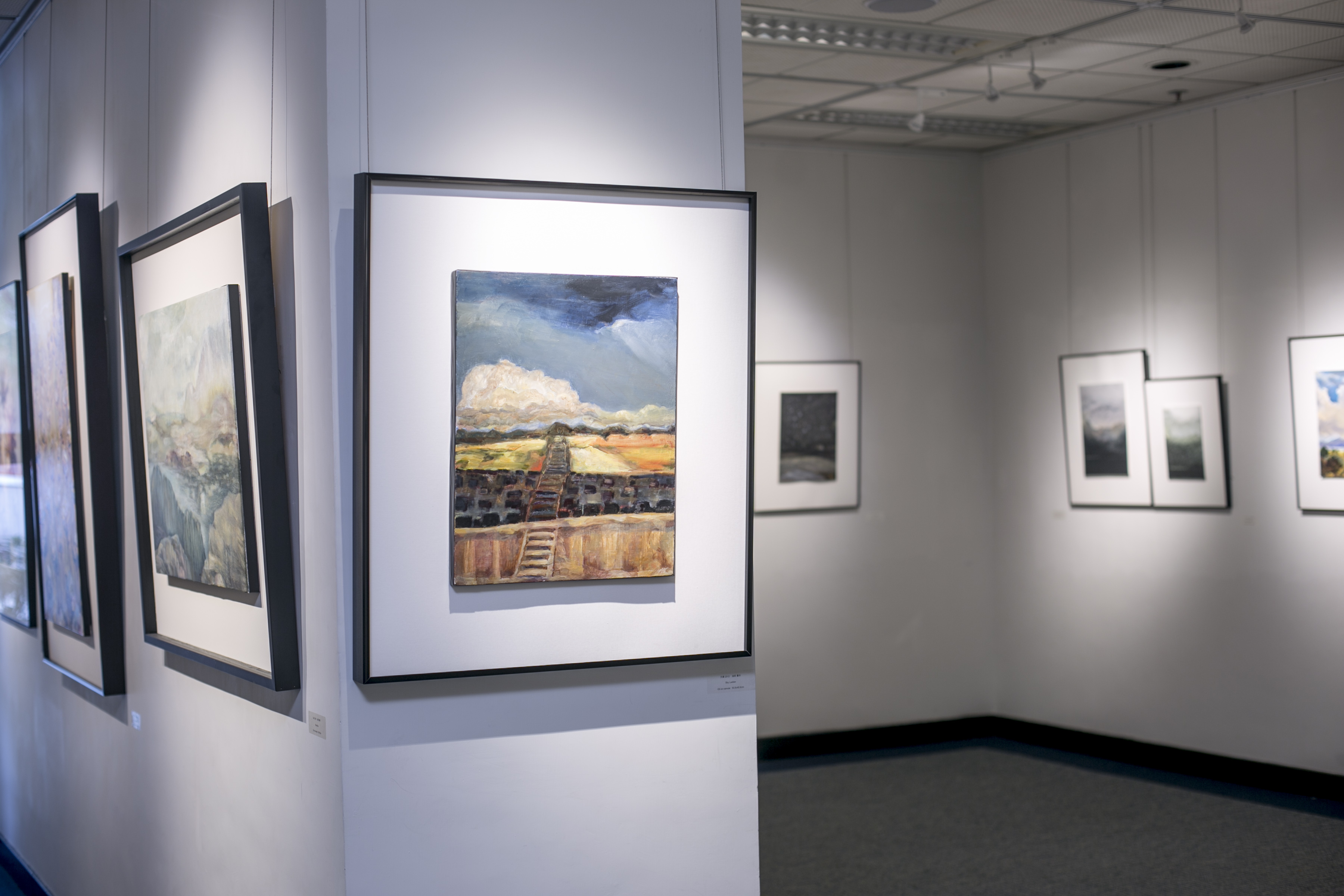 Have Cloud: Paintings by Danny Liu: Gallery