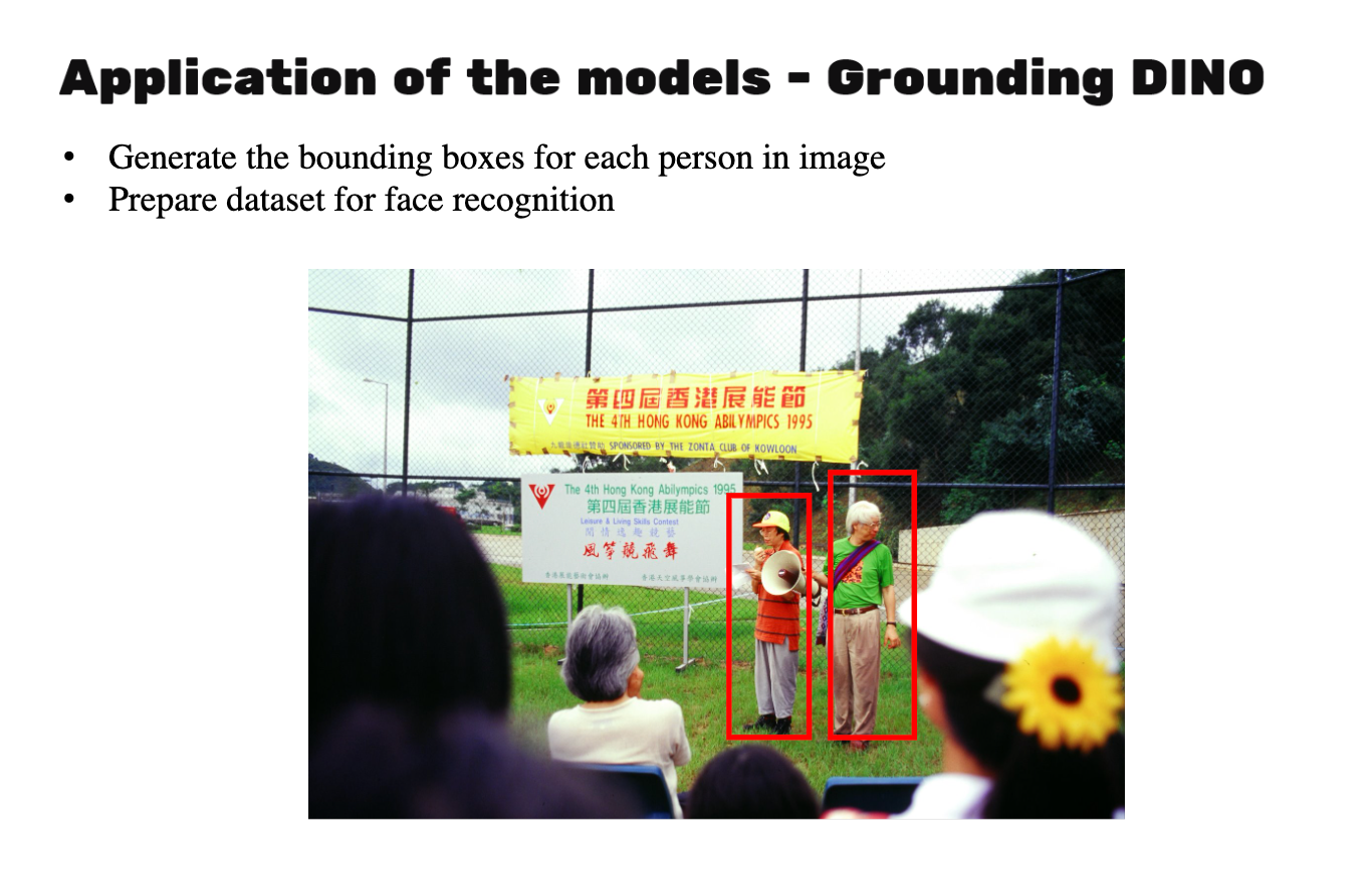 Fig. 4 Application of the GroundingDINO model