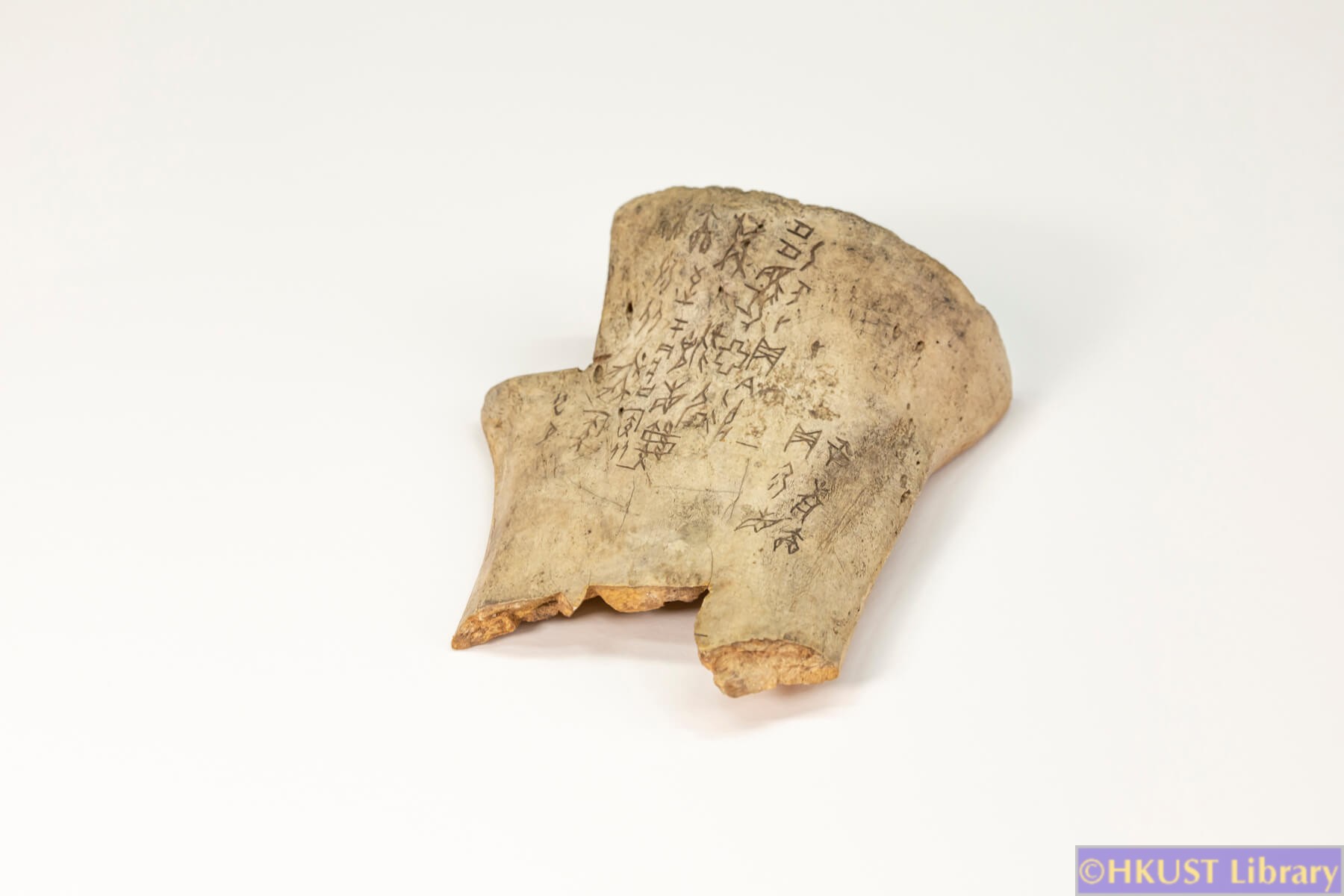 xie-2021-oracle bones 1