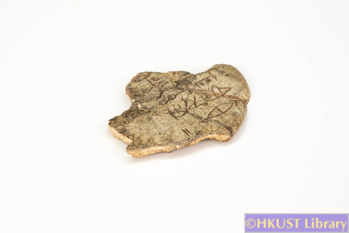 xie-2021-oracle bones 2