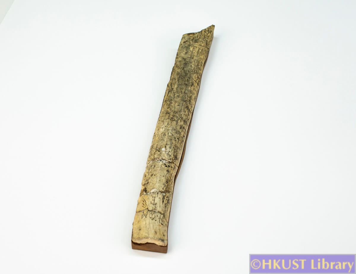 xie-2021-oracle bones 5