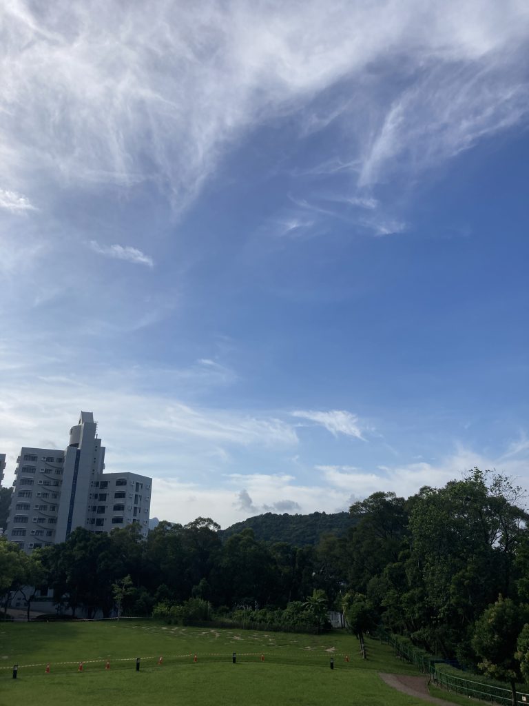 Photo 1: Taken on 3 July 2025 using mobile phone at the Terrace in LG5 of the Library