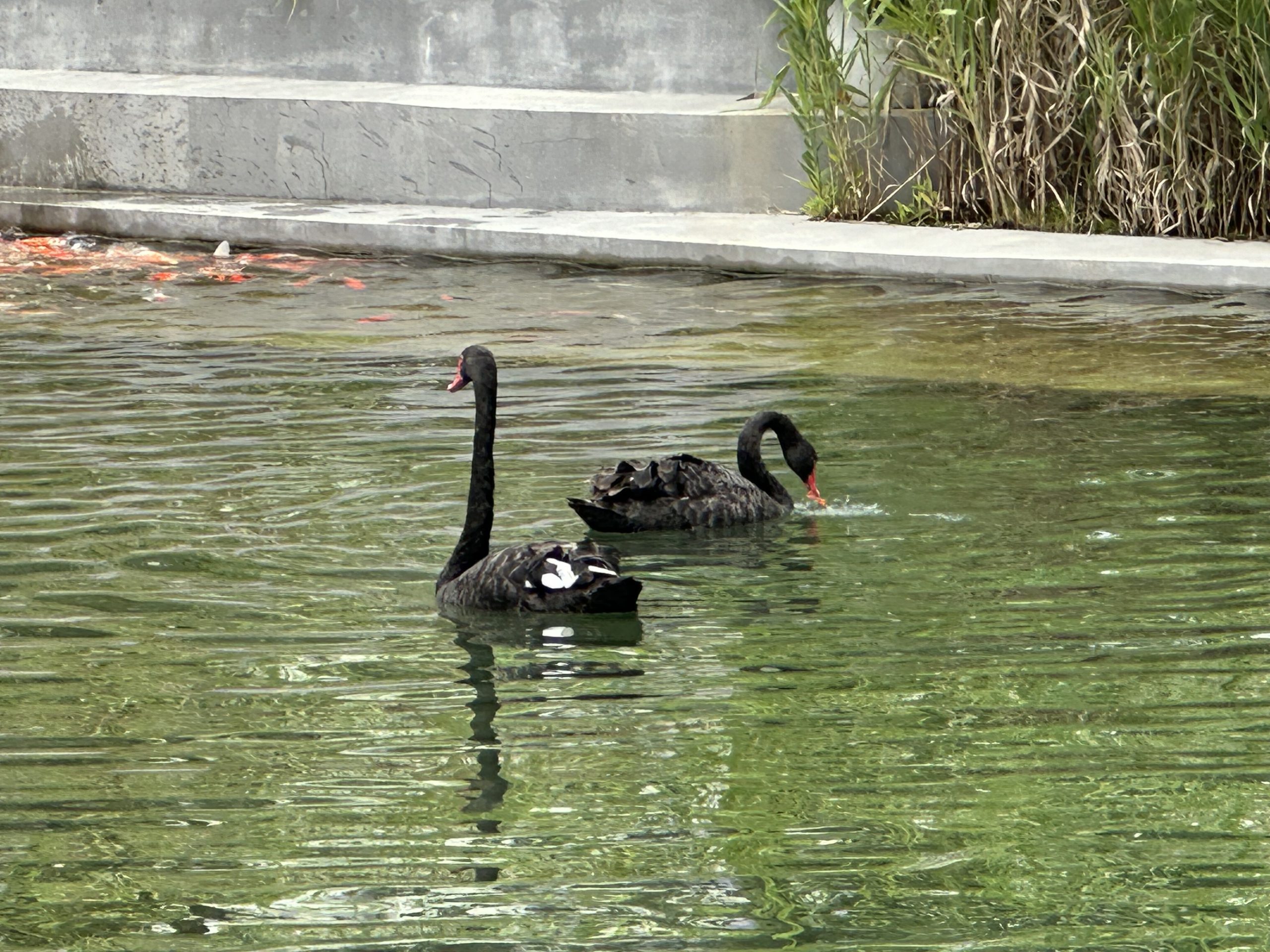 GZ-Library-Visit-11-May-2024-3-scaled